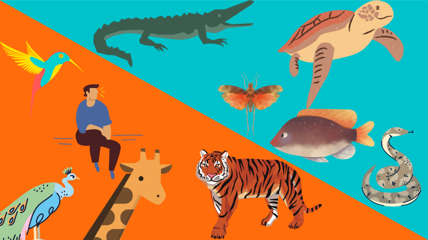 WarmBlooded vs ColdBlooded Cosmic Conundrum