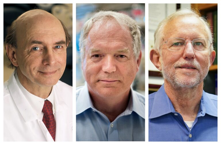 Discoverers of Hepatitis C Virus Win Nobel Prize.